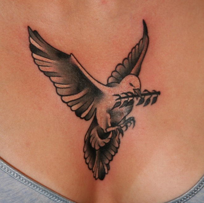 Dove with olive branch tattoo 