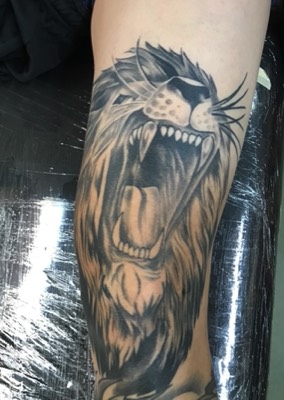  Lion tattoo  