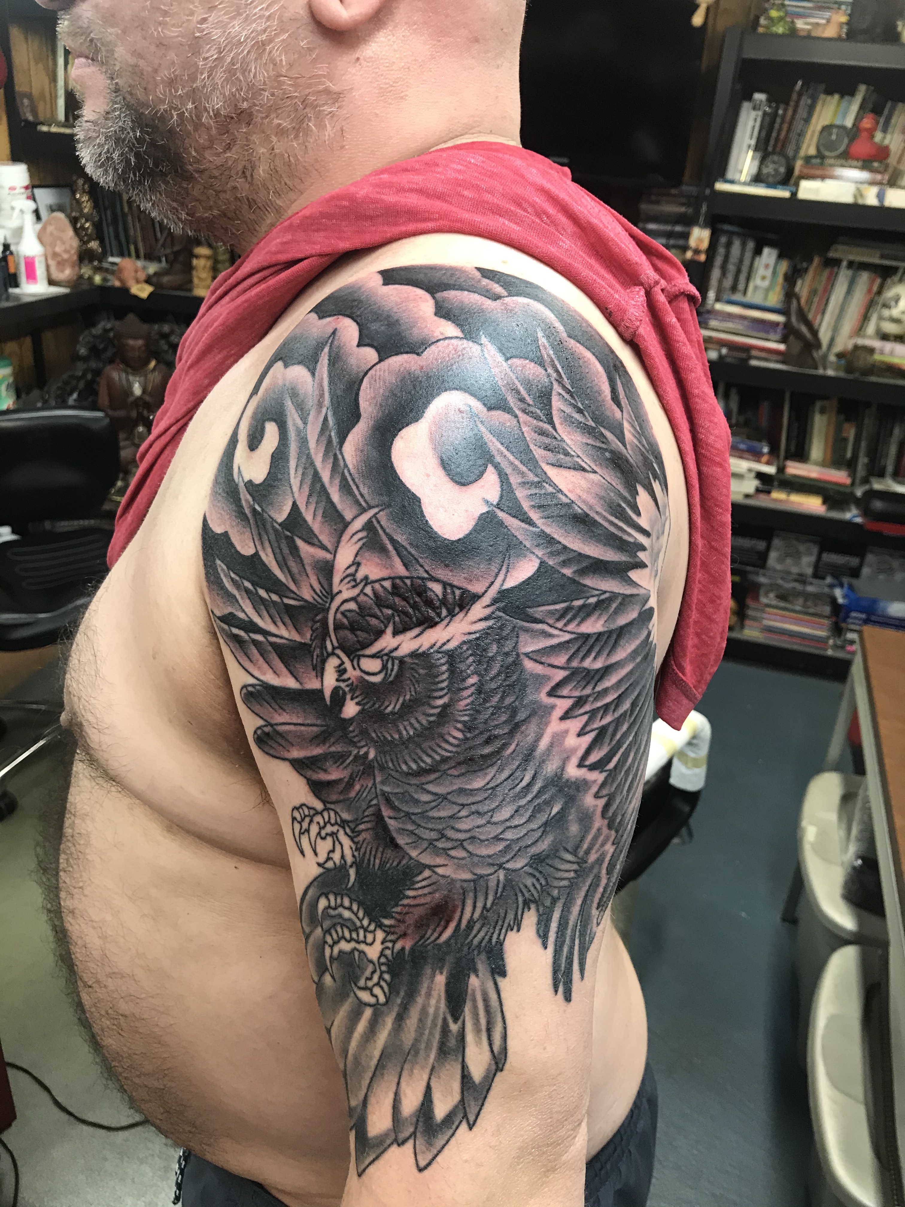  Black & gray owl by Brandon Notch 