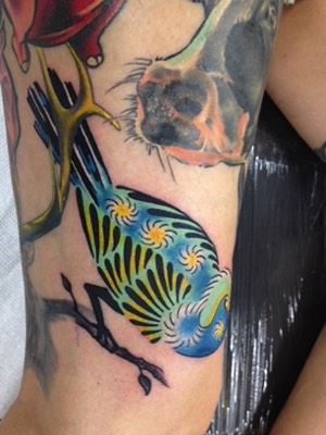  New school bird tattoo by Brandon Notch 