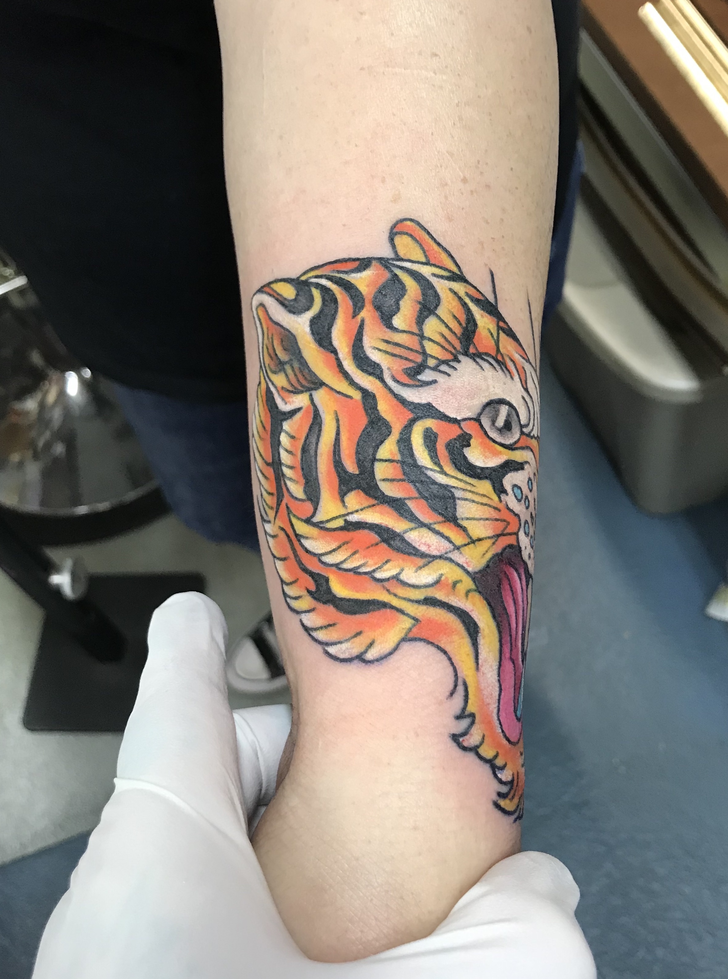  Traditional tiger tattoo by Brandon Notch 