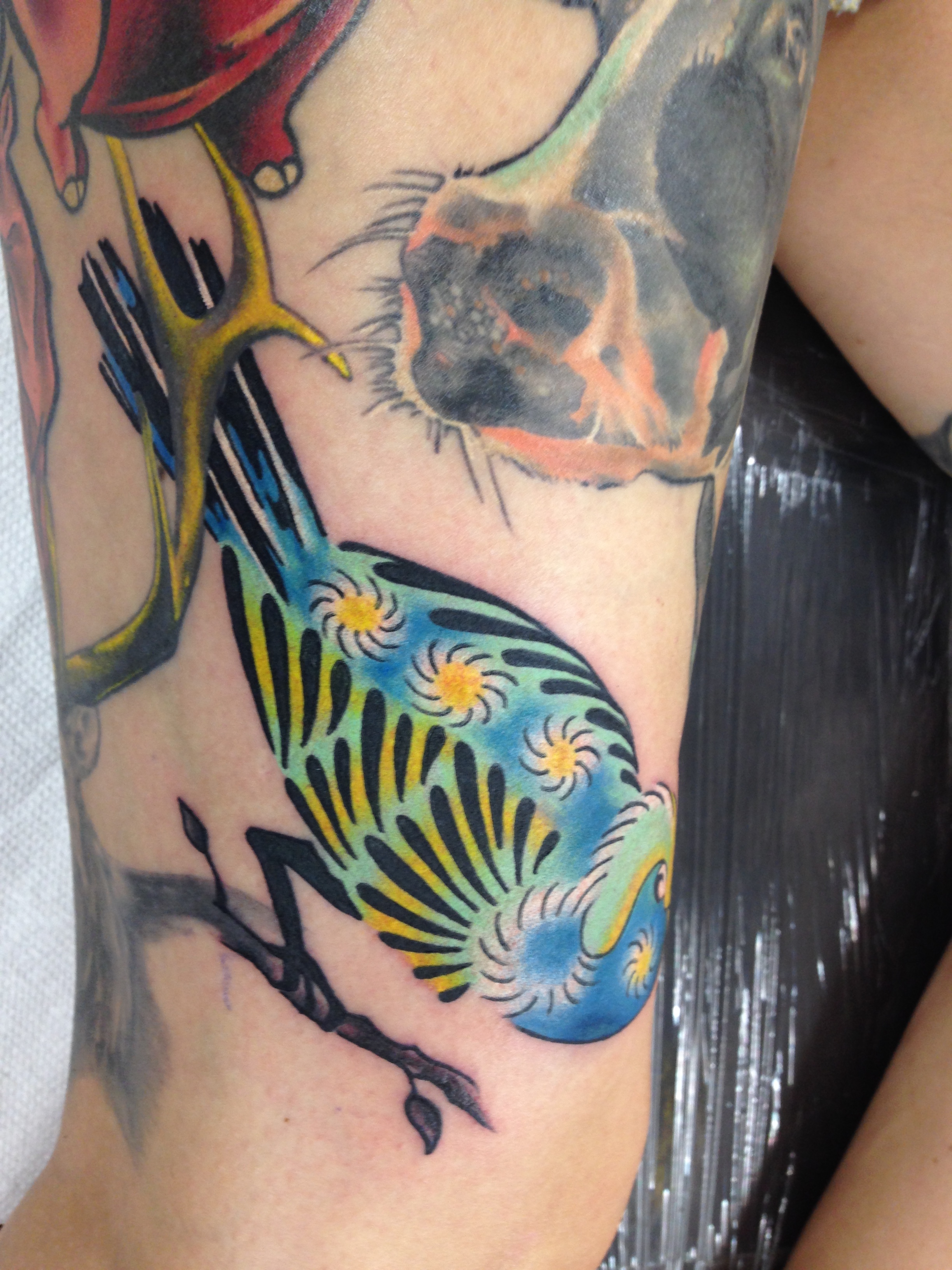  New school bird tattoo by Brandon Notch 