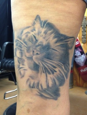  Cat Portrait Tattoo by Brandon Notch 